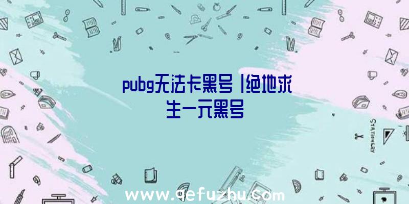 「pubg无法卡黑号」|绝地求生一元黑号